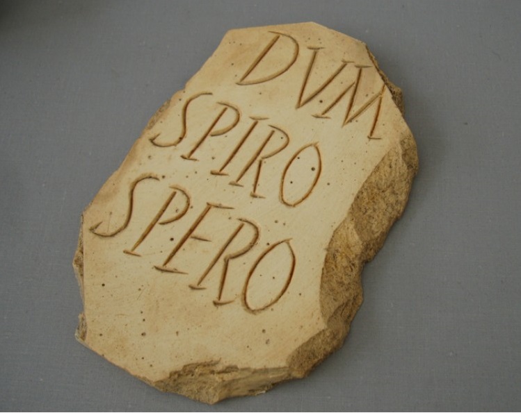 JBM-23-1-dum-spiro-spero-750x750